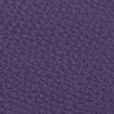 Swatch for Color Purple