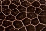 Swatch for Color Faded Light Brown