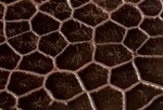 Swatch for Color Faded Light Brown
