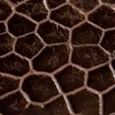 Swatch for Color Faded Light Brown