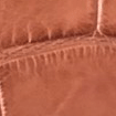 Swatch for Color Cognac