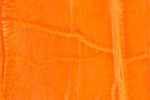 Swatch for Color Orange