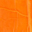 Swatch for Color Orange