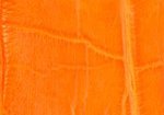 Swatch for Color Orange