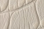 Swatch for Color White