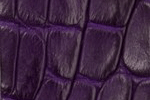 Swatch for Color Violet
