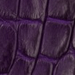 Swatch for Color Violet