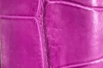 Swatch for Color Magenta