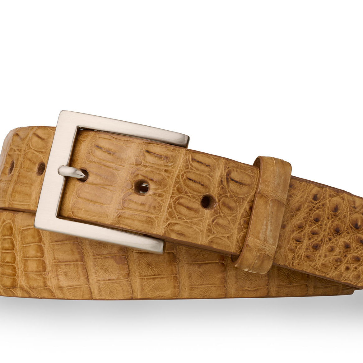 Caiman Crocodile Belt with Brushed Nickel Buckle