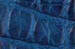 Swatch for Color Admiral Blue