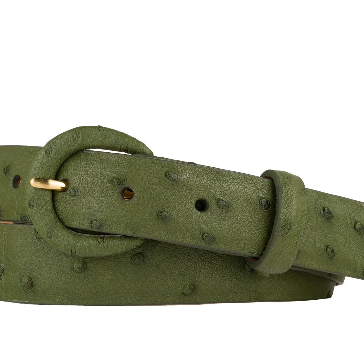 Ostrich Belt with Covered Buckle