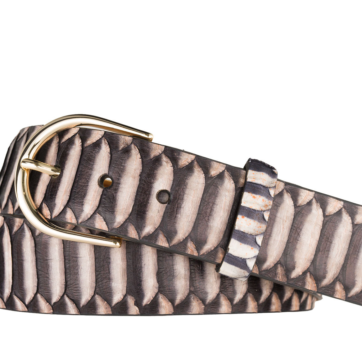 Python Belt with Brushed Gold Buckle