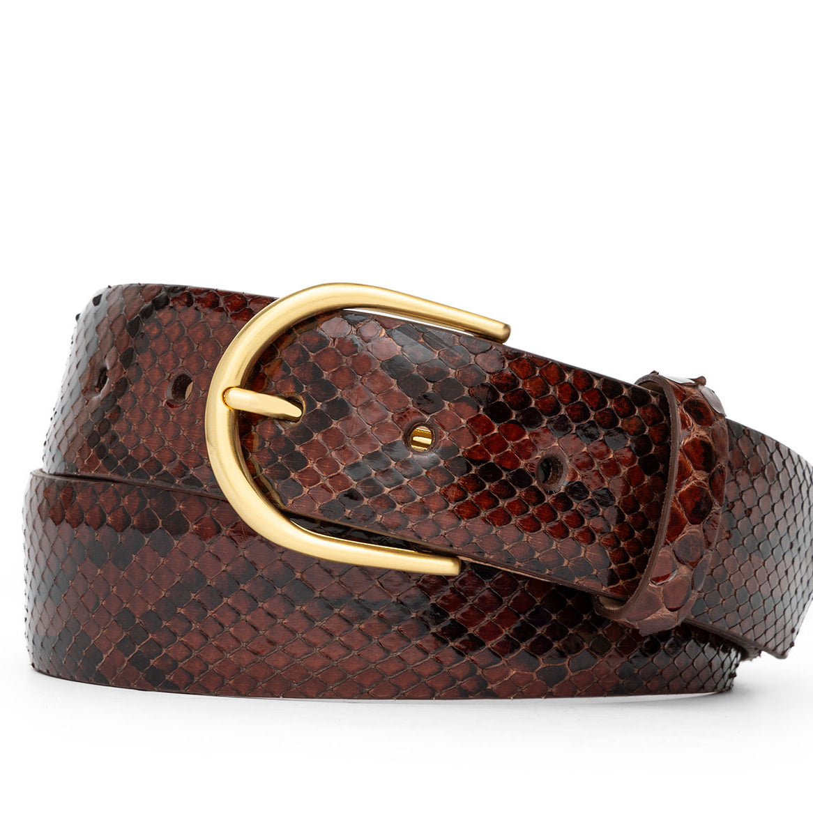 Python Belt with Brushed Gold Buckle