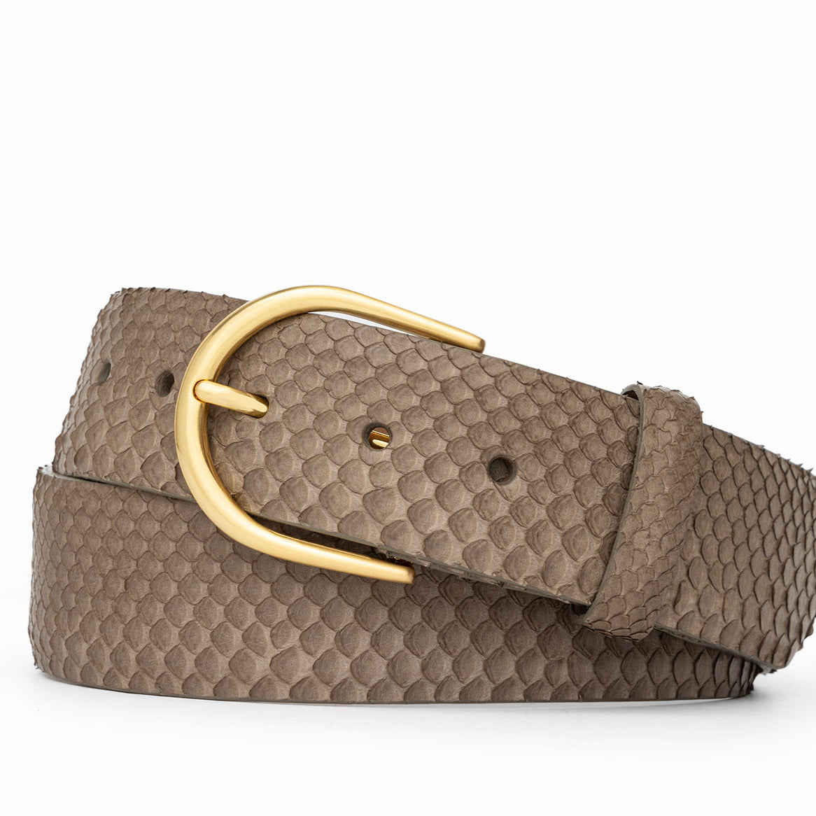 Python Belt with Brushed Gold Buckle