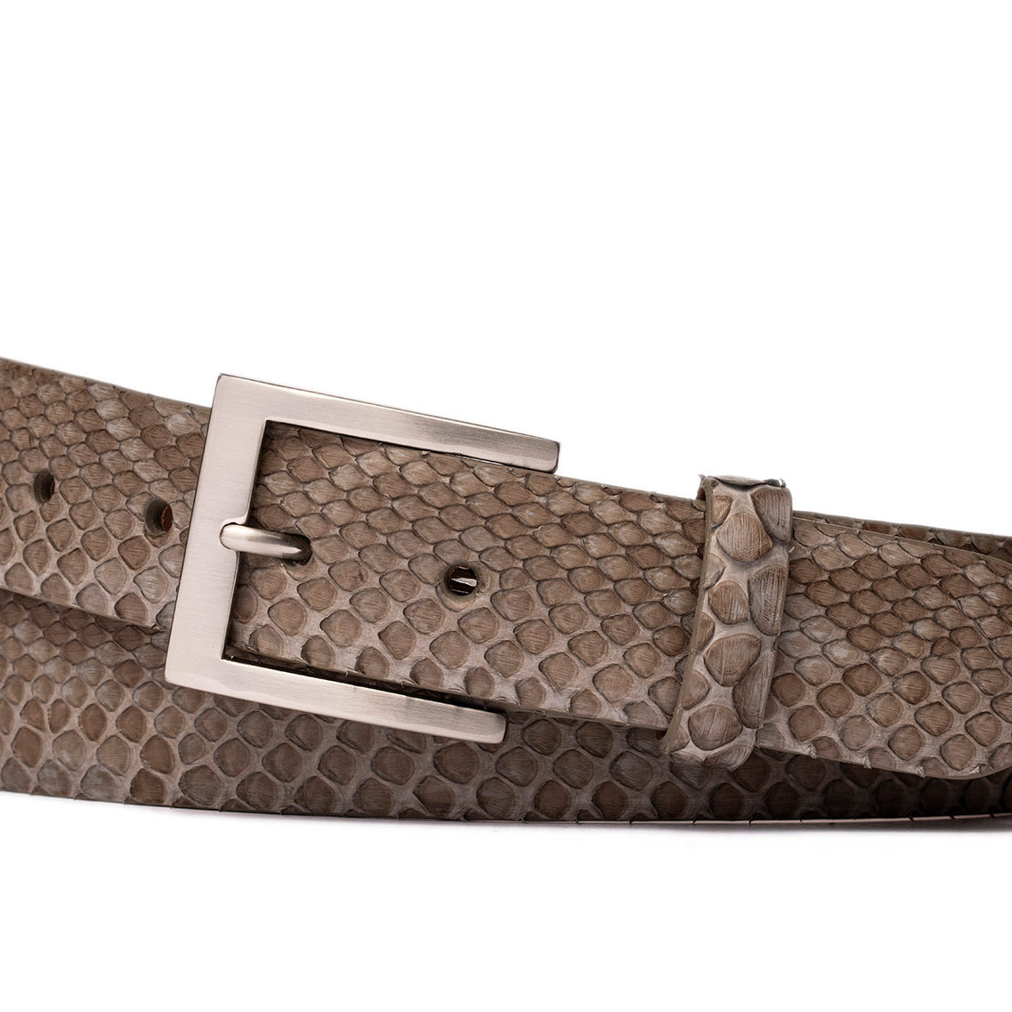 Python Belt with Brushed Nickel Buckle