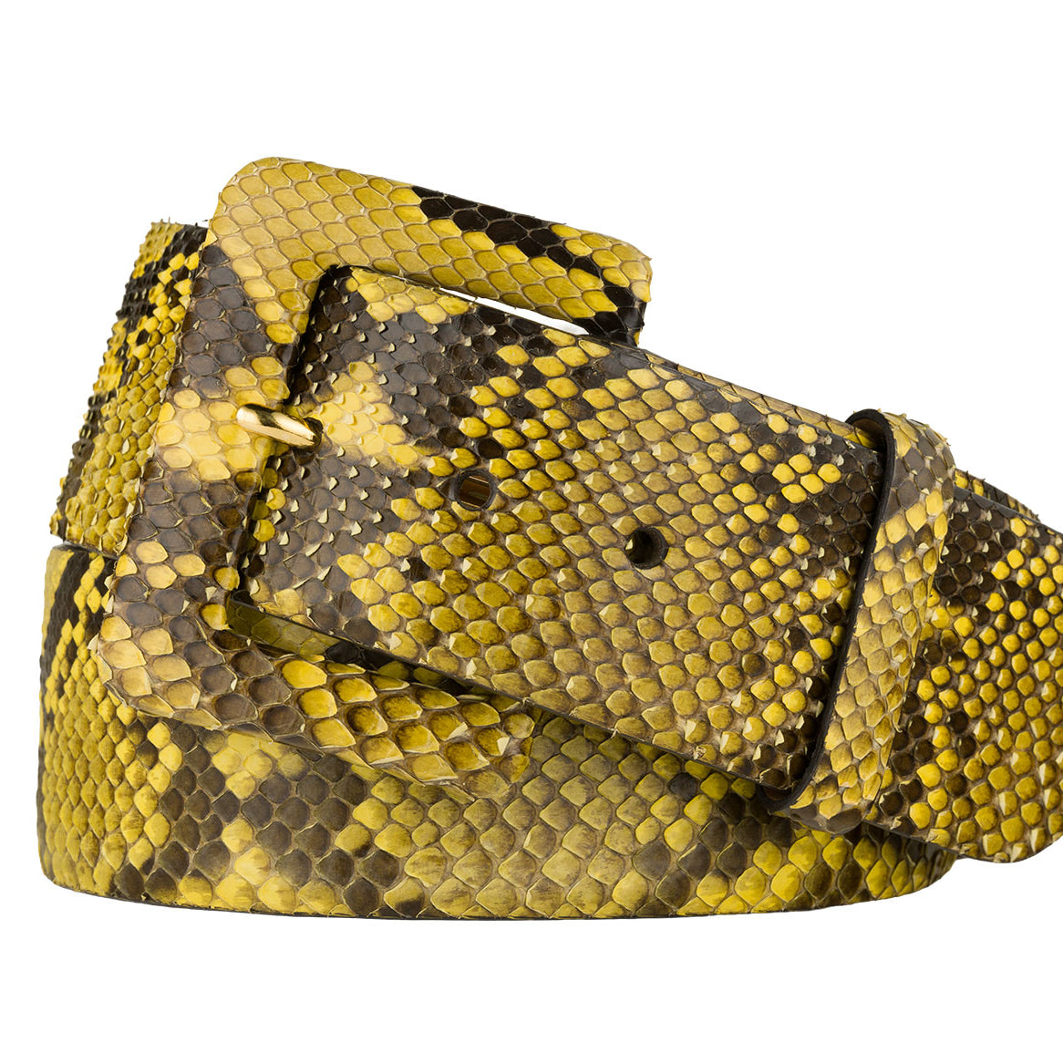 Python Belt with Covered Buckle