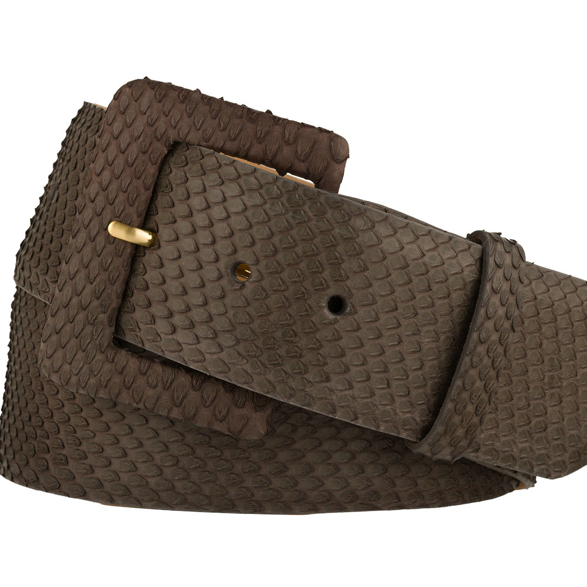 Python Belt with Covered Buckle