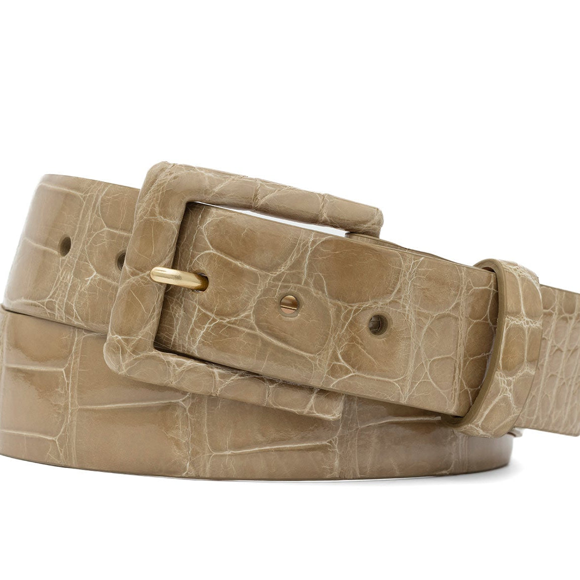 Glazed Alligator Belt with Covered Buckle - Cafe au Lait