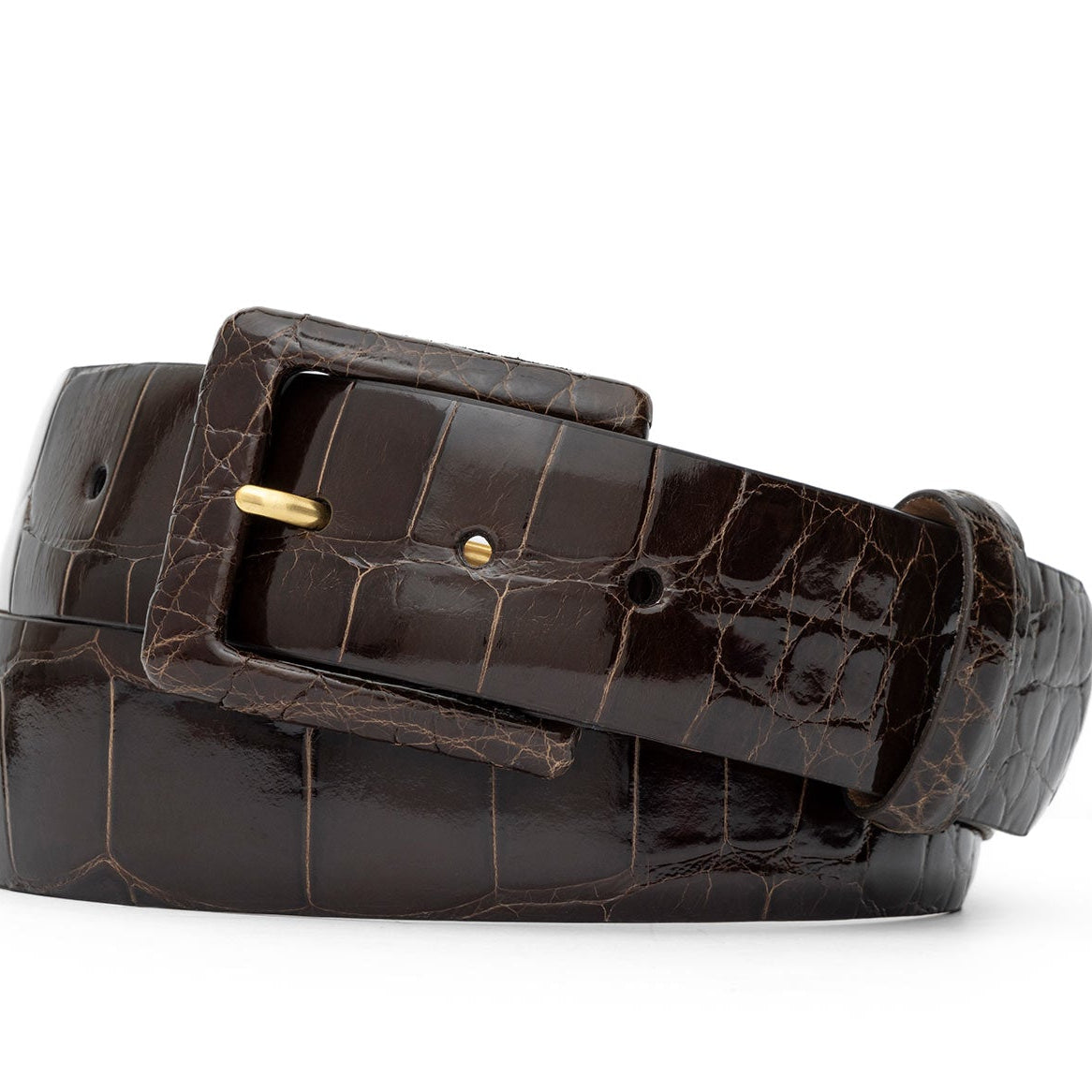 Glazed Alligator Belt with Covered Buckle - Chocolate