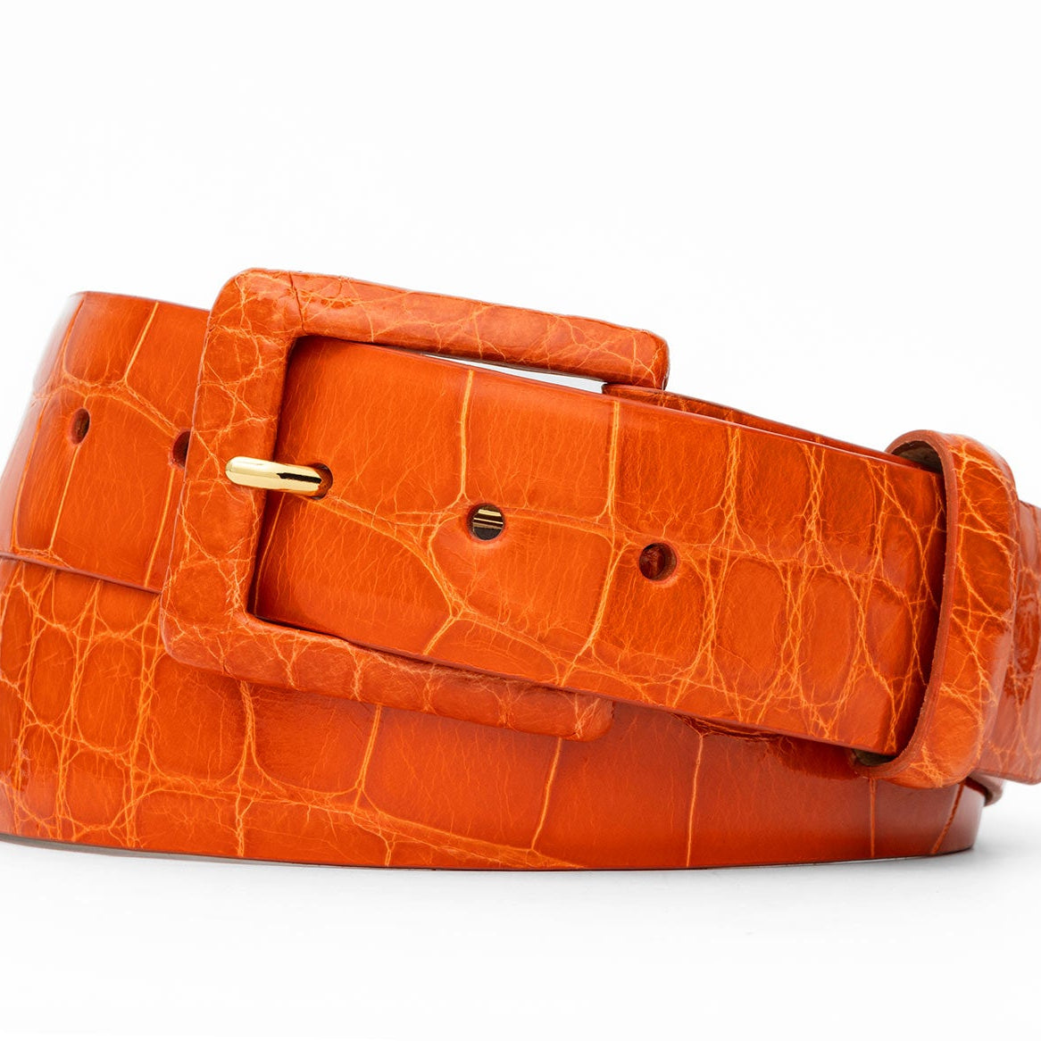 Glazed Alligator Belt with Covered Buckle - Orange