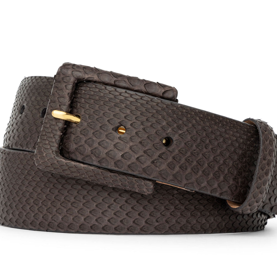 Python Belt with Covered Buckle