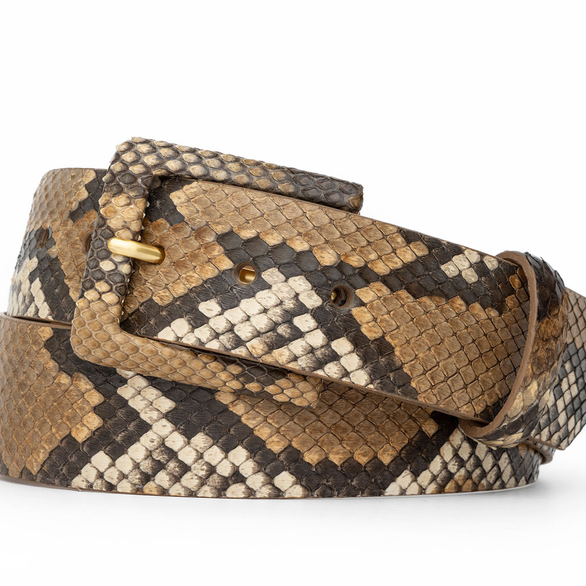 Python Belt with Covered Buckle