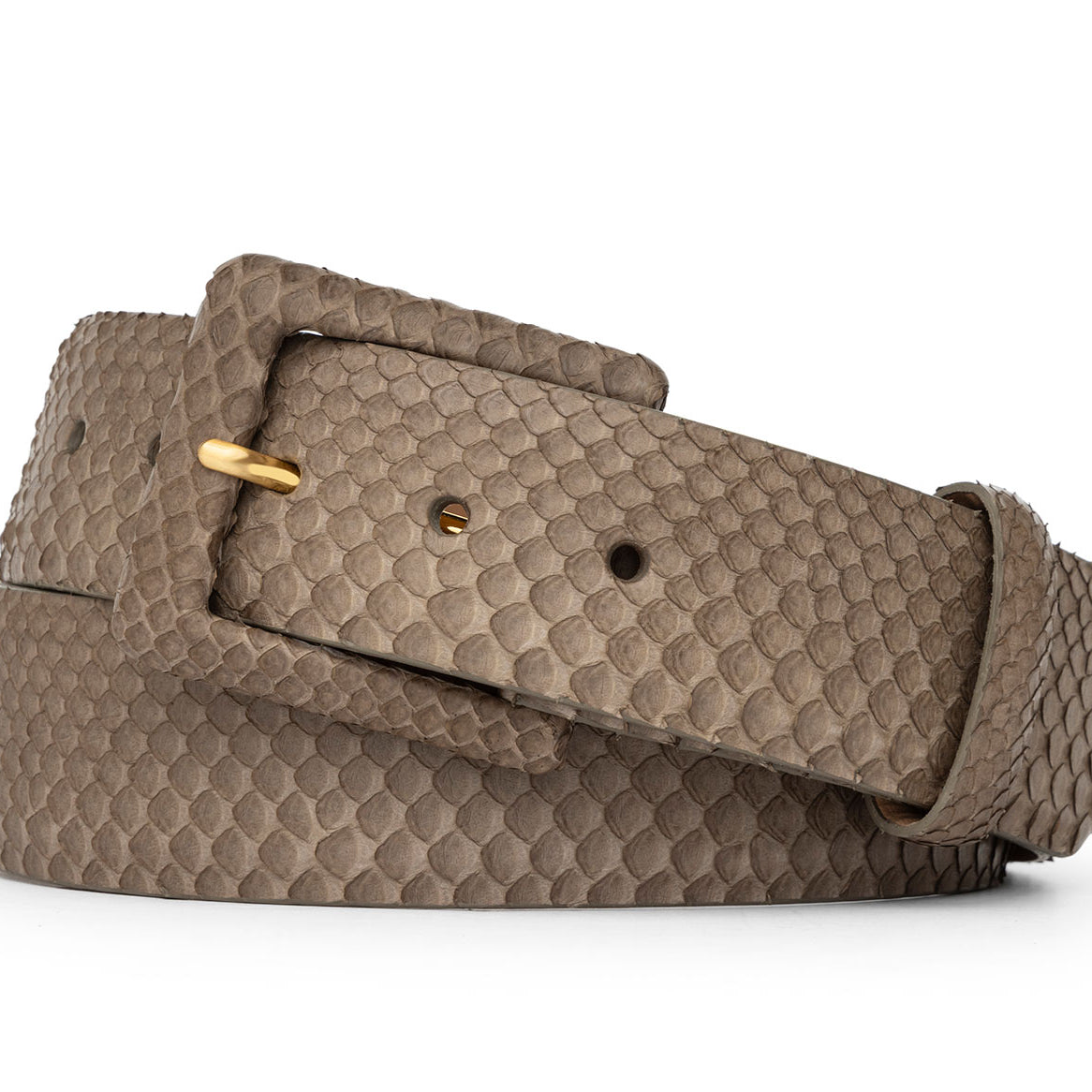 Python Belt with Covered Buckle