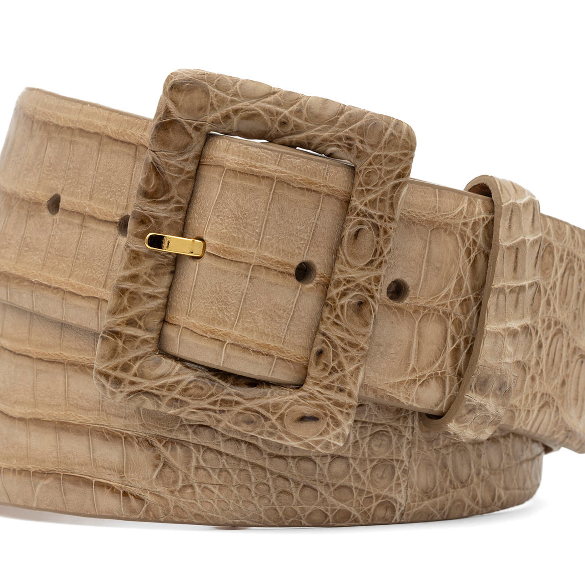Wide Matte Caiman Crocodile Belt with Covered Buckle