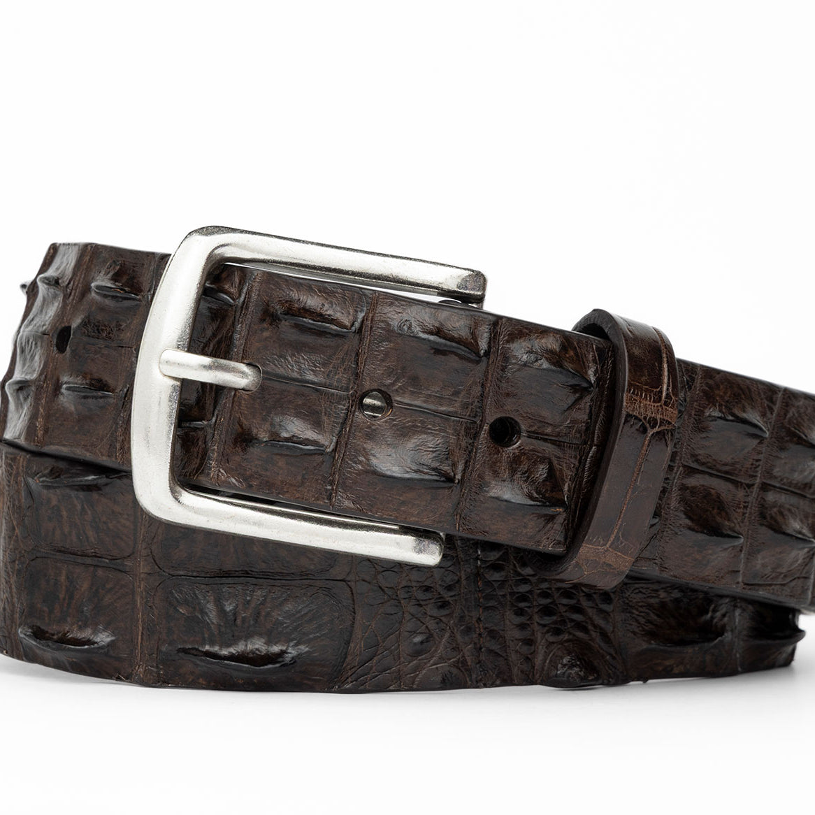 Hornback Crocodile Belt with Brushed Nickel Buckle