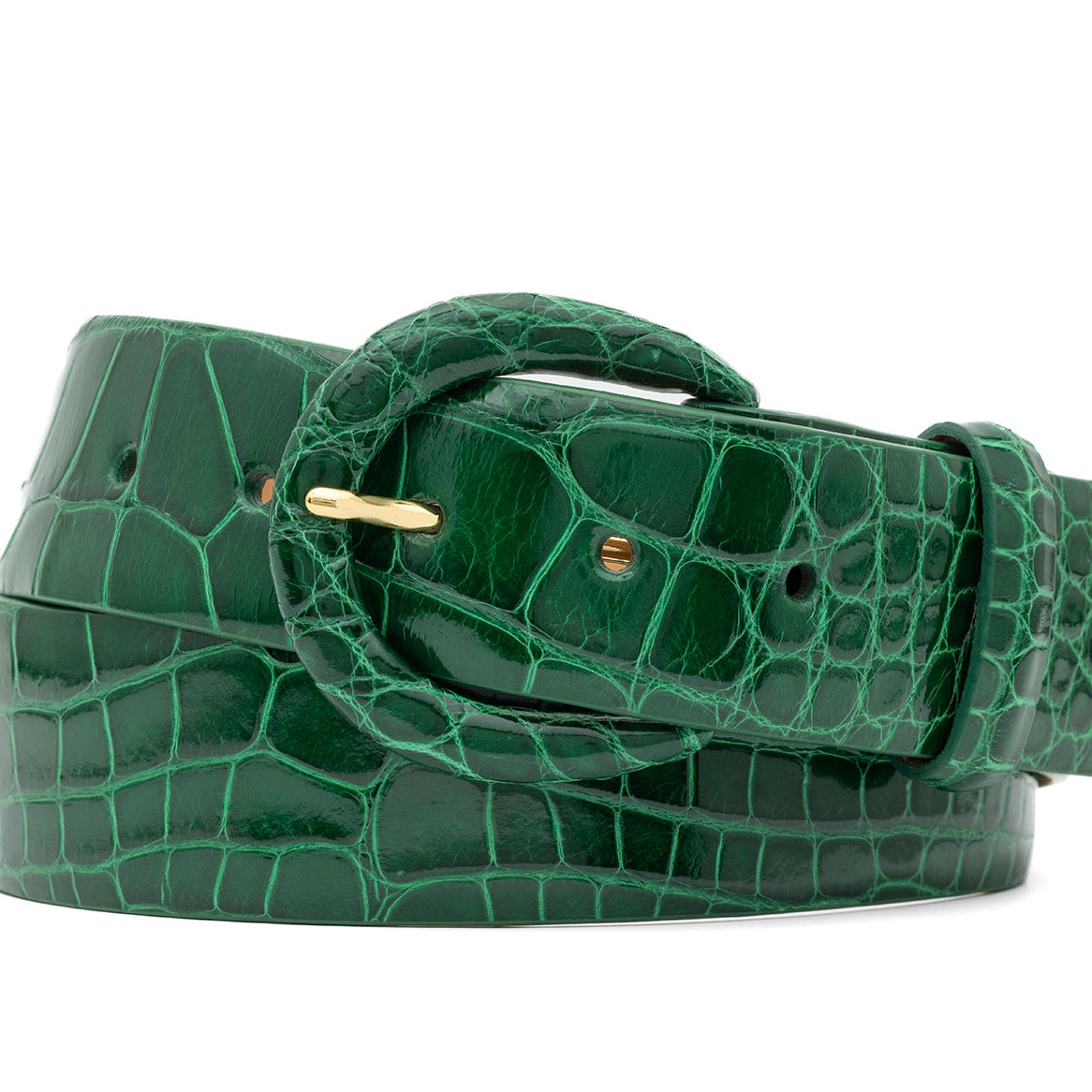 1-1/2" Glazed Alligator Belt with Covered Crescent Buckle