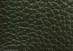 Swatch for Color Loden Green