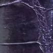 Headband in Glazed Alligator