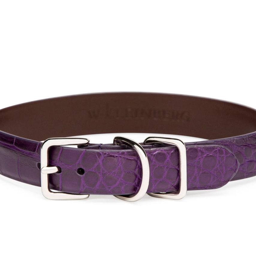 The Teddy Dog Collar in Matte Alligator