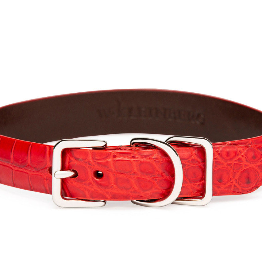 The Teddy Dog Collar in Matte Alligator
