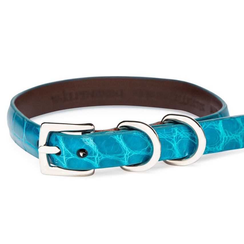 The Lulu Dog Collar