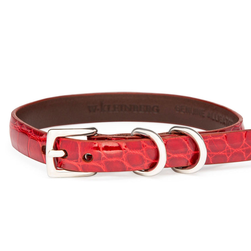 The Lulu Dog Collar