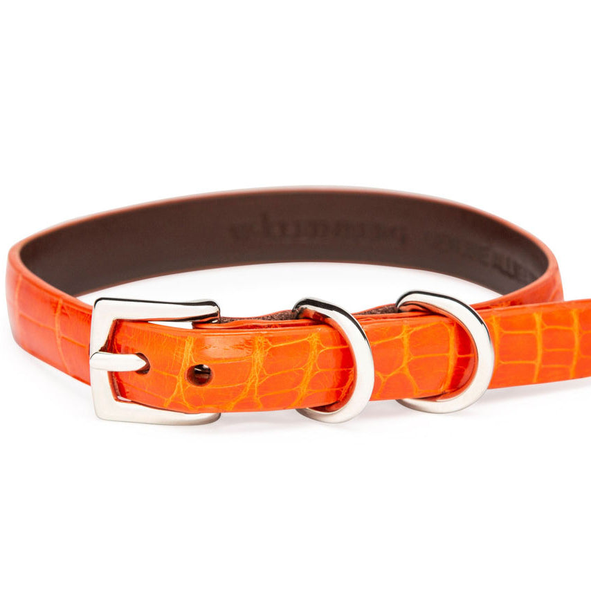 The Lulu Dog Collar