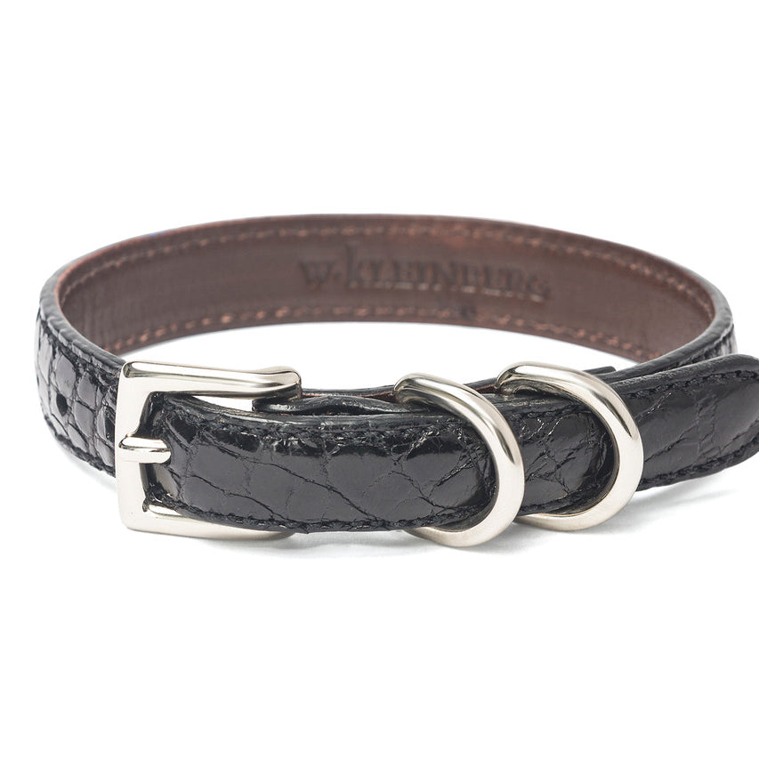 The Lulu Dog Collar