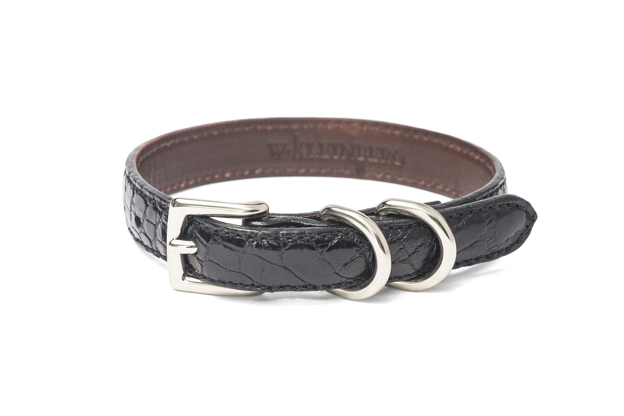 The Lulu Dog Collar