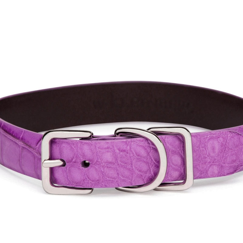 The Teddy Dog Collar in Matte Alligator