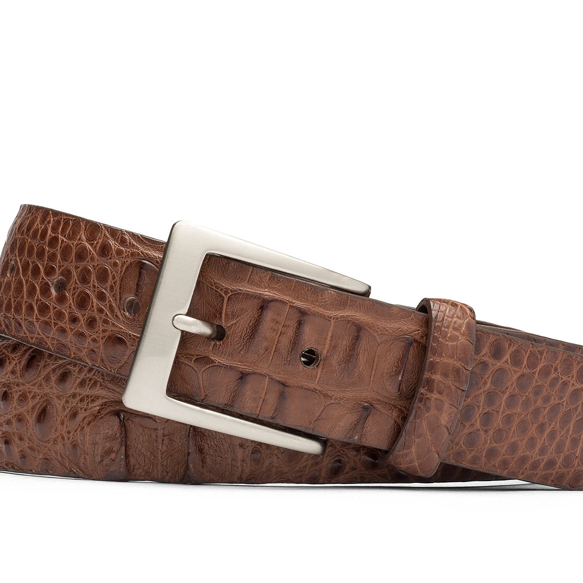 w.kleinberg hornback alligator belt with brushed nickel buckle flat lay