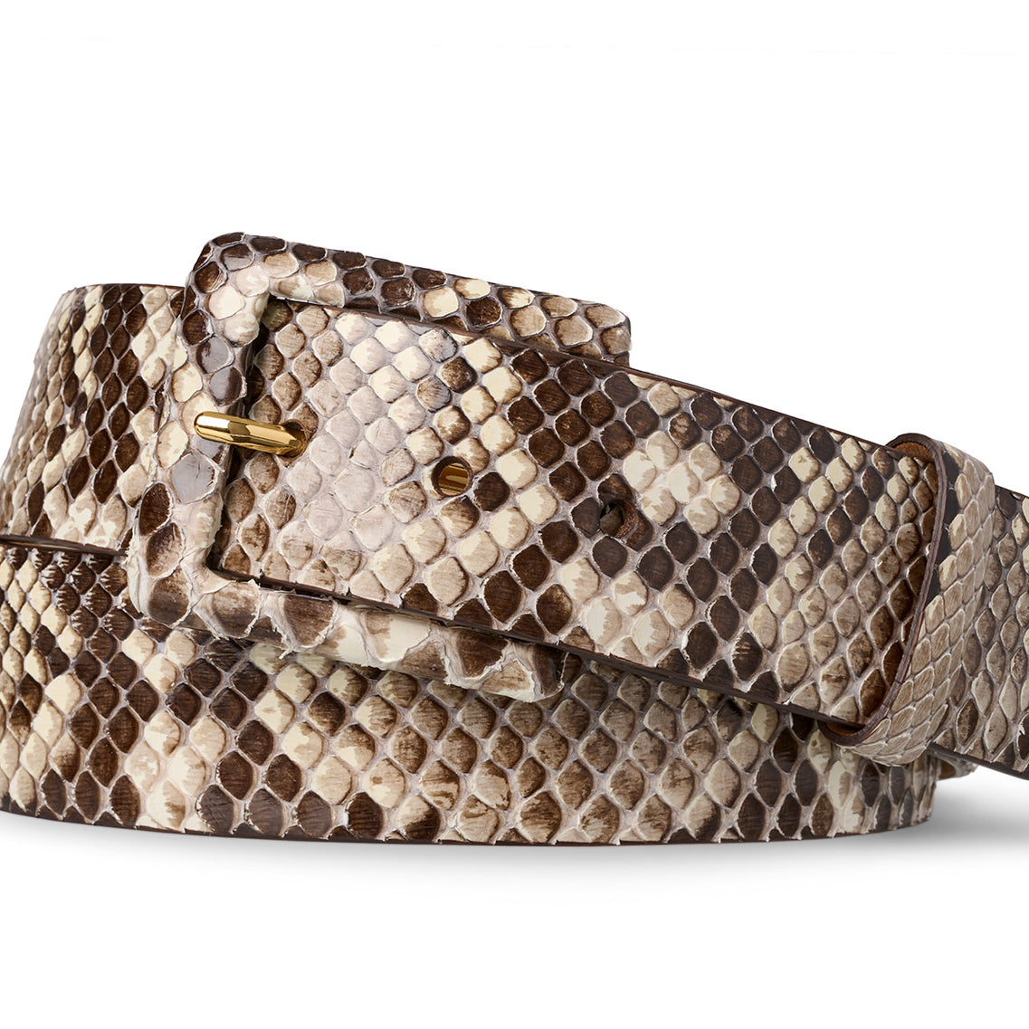 Python Belt with Covered Buckle