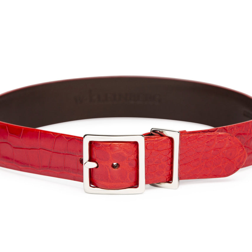 The Jackson Dog Collar