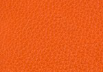 Swatch for Color Orange