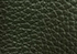 Swatch for Color Loden Green