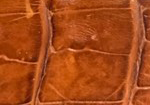 Swatch for Color Brandy