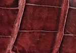 Swatch for Color Burgundy