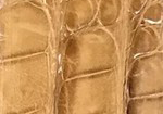 Swatch for Color Saddle Tan
