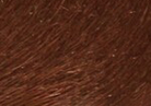 Swatch for Color Cognac