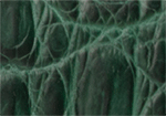 Swatch for Color Forest Green